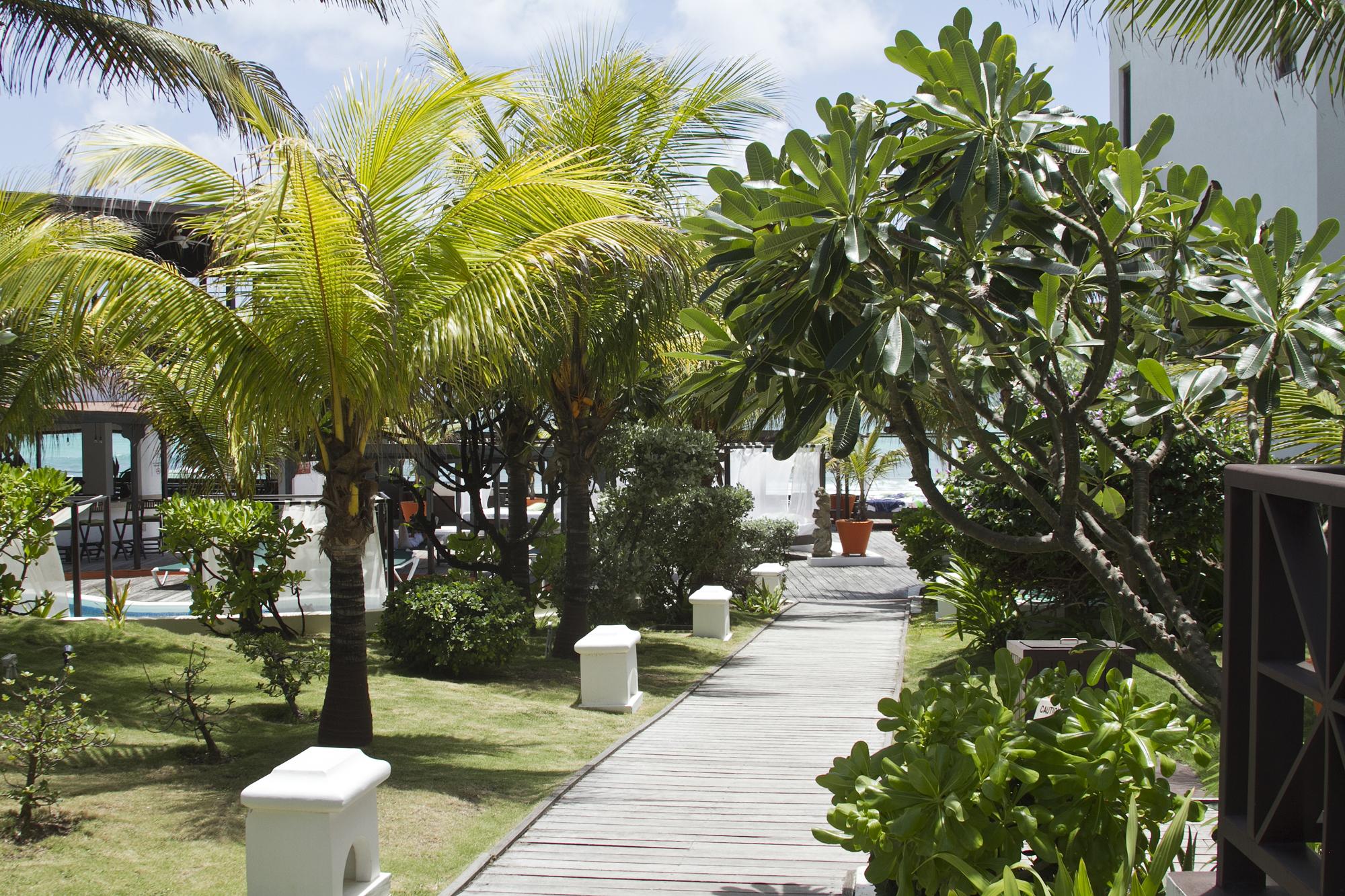 Silver Point Villa Hotel 크리스트 처치 외부 사진